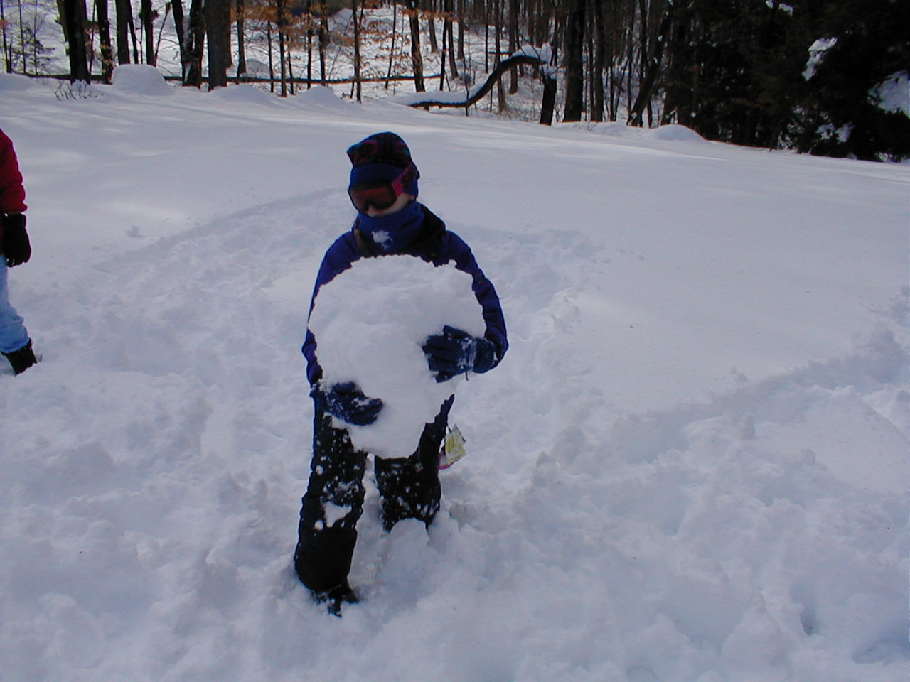 No description provided for: /2001/01-03/0331-snow-shots/snow-shots-14.html