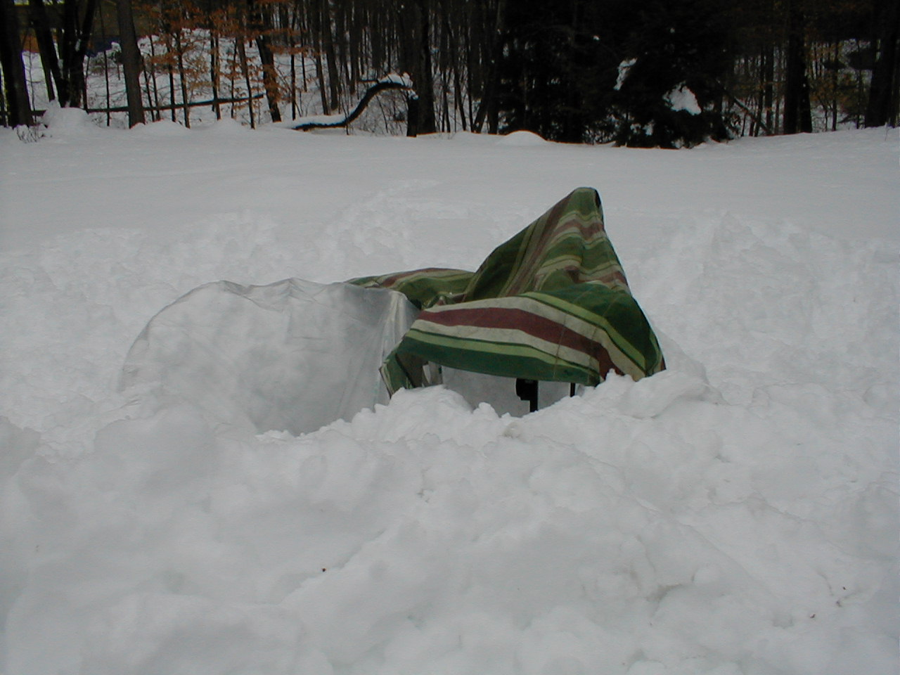 No description provided for: /2001/01-03/0331-snow-shots/snow-shots-16.html