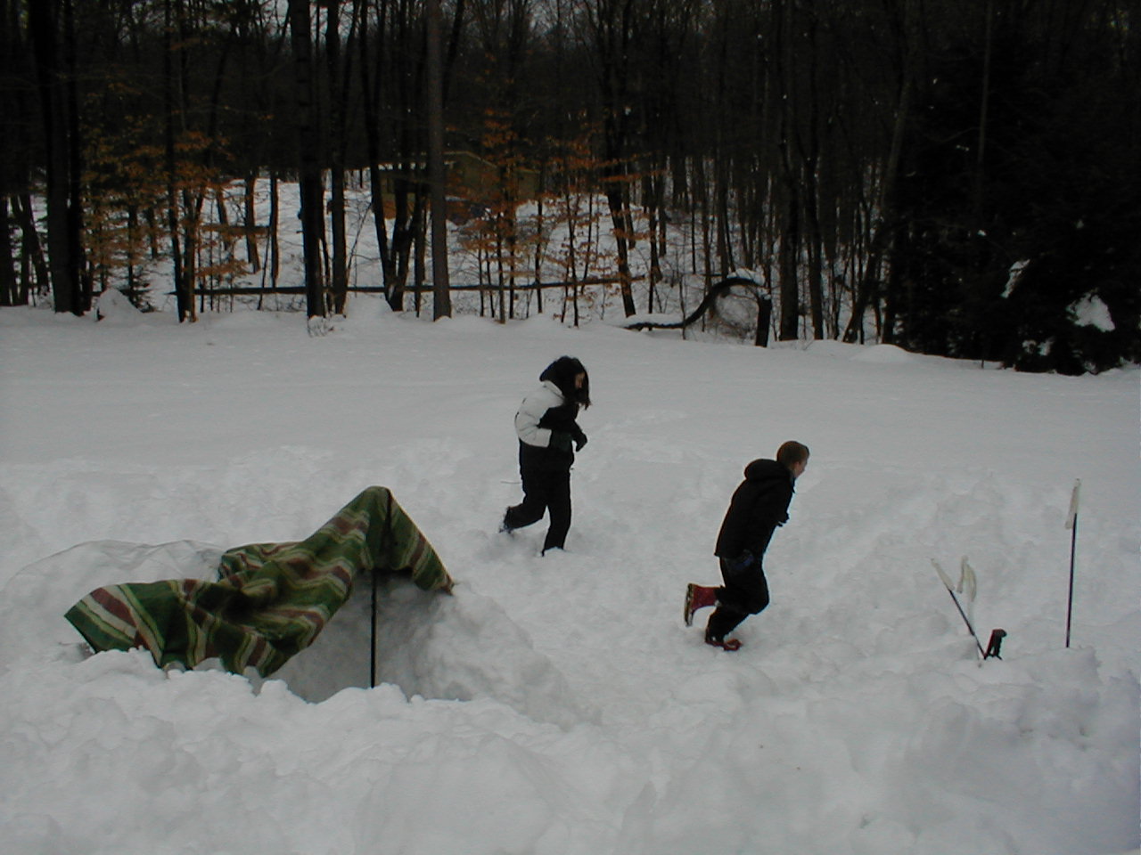 No description provided for: /2001/01-03/0331-snow-shots/snow-shots-17.html