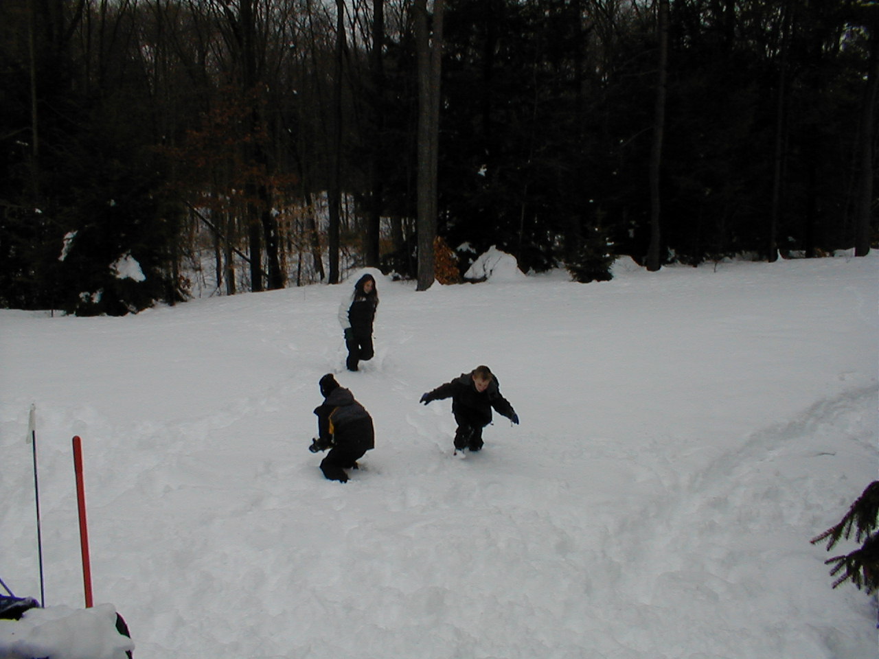 No description provided for: /2001/01-03/0331-snow-shots/snow-shots-18.html