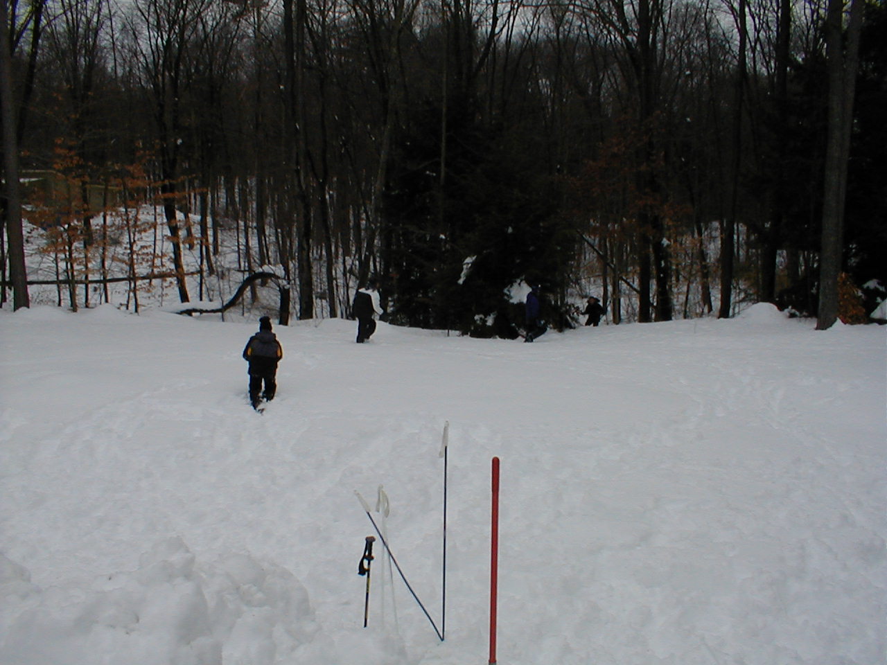 No description provided for: /2001/01-03/0331-snow-shots/snow-shots-20.html