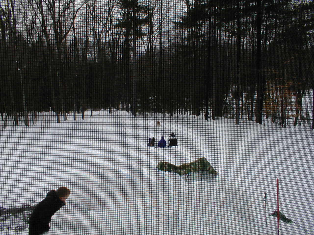 No description provided for: /2001/01-03/0331-snow-shots/snow-shots-21.html