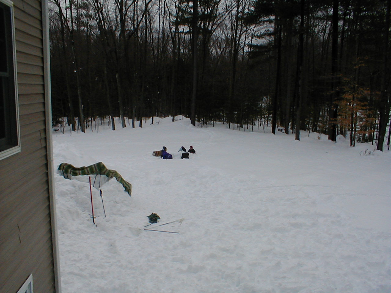 No description provided for: /2001/01-03/0331-snow-shots/snow-shots-22.html