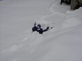 Image file: snow-shots-03.jpg