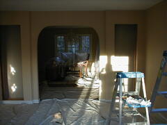 Image file: shelves-02.jpg