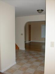 Image file: shelves-13.jpg