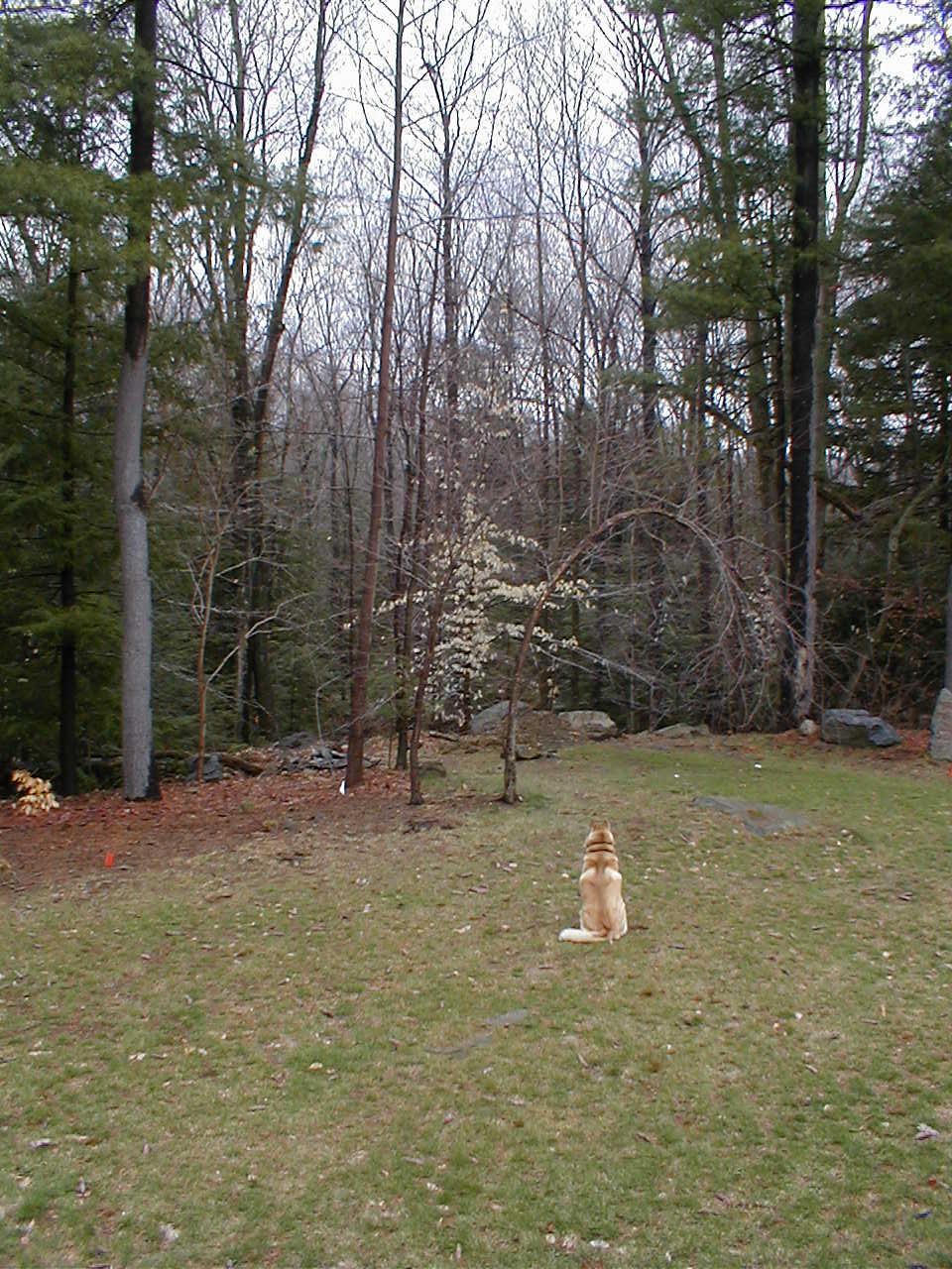 No description provided for: /2001/04-06/0414-snowball/snowball-01.html