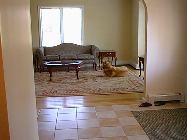 No description provided for: /2001/04-06/0610-bday/_1/bday-02.html