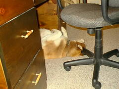 Image file: bday-01.jpg