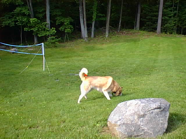 No description provided for: /2001/04-06/0610-bday/_2/bday-37.html