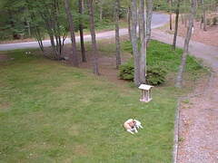 Image file: photo05.jpg