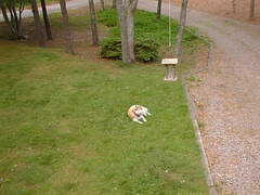 Image file: photo06.jpg