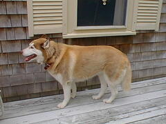 Image file: photo11.jpg