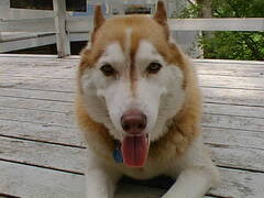 Image file: photo14.jpg