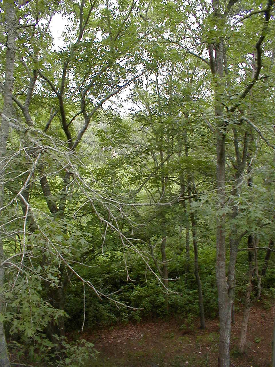 No description provided for: /2001/07-09/0720-cape-house/_1/cape-08.html