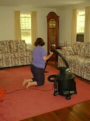 Image file: house-dog-hair.jpg