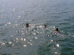 Image file: photo16.jpg