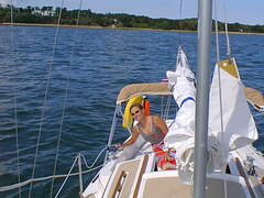 Image file: photo18.jpg