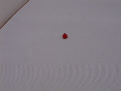 Image file: photo26.jpg