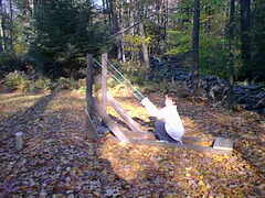 Image file: photo02.jpg