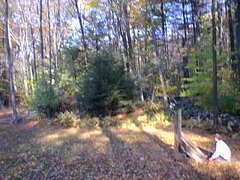 Image file: photo03.jpg