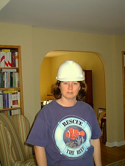 No description provided for: /2001/10-12/1031-home-office/tara-hardhat.html