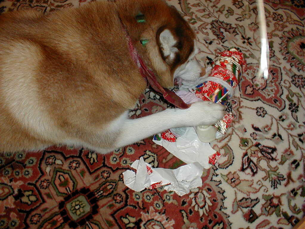 No description provided for: /2001/01-03/0112-after-xmas/photo01.html