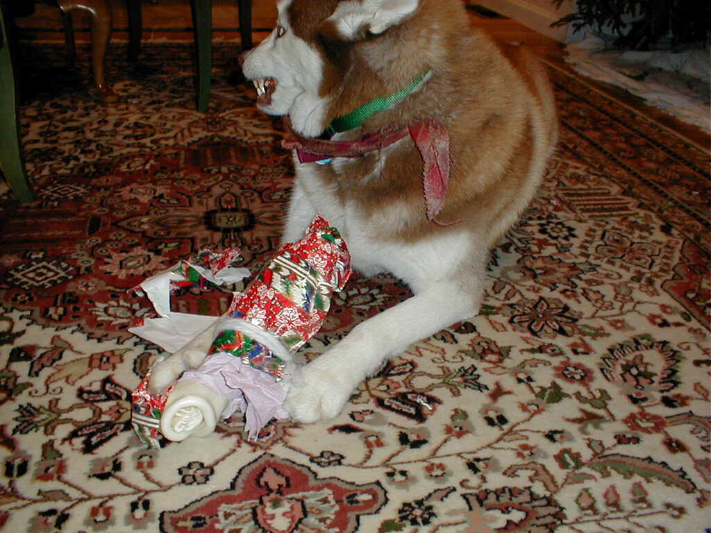 No description provided for: /2001/01-03/0112-after-xmas/photo02.html