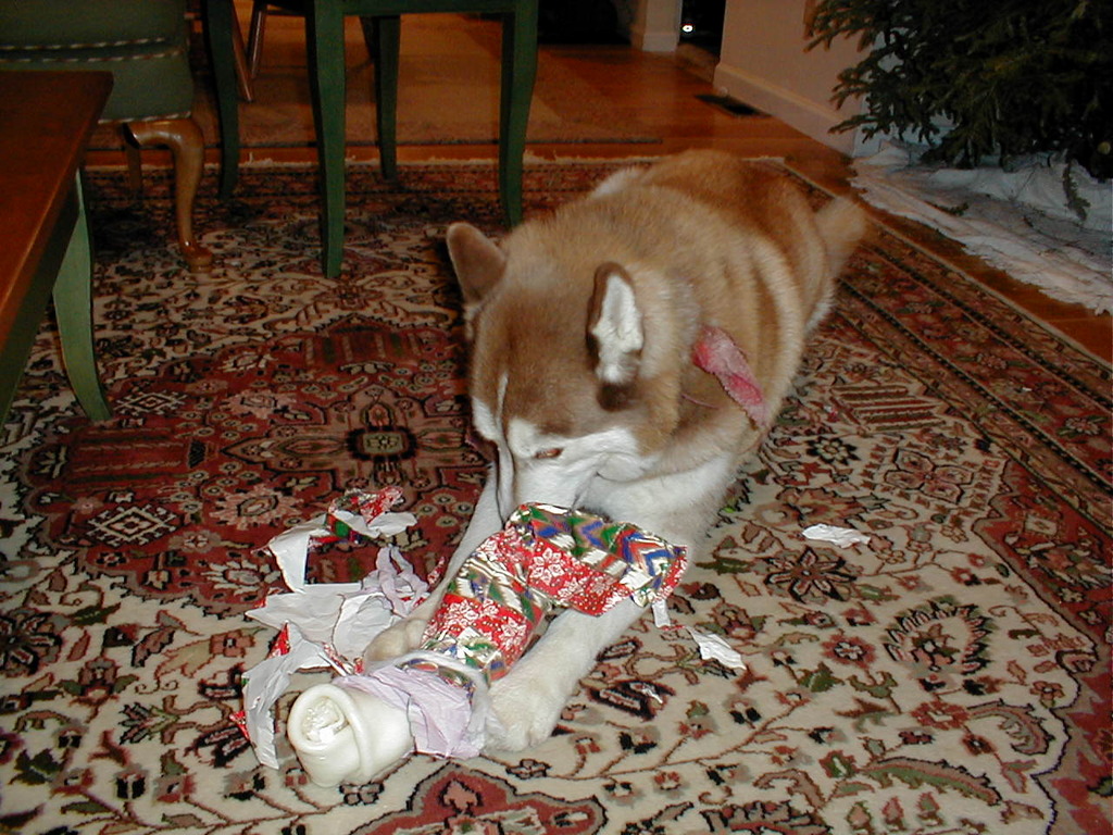 No description provided for: /2001/01-03/0112-after-xmas/photo03.html