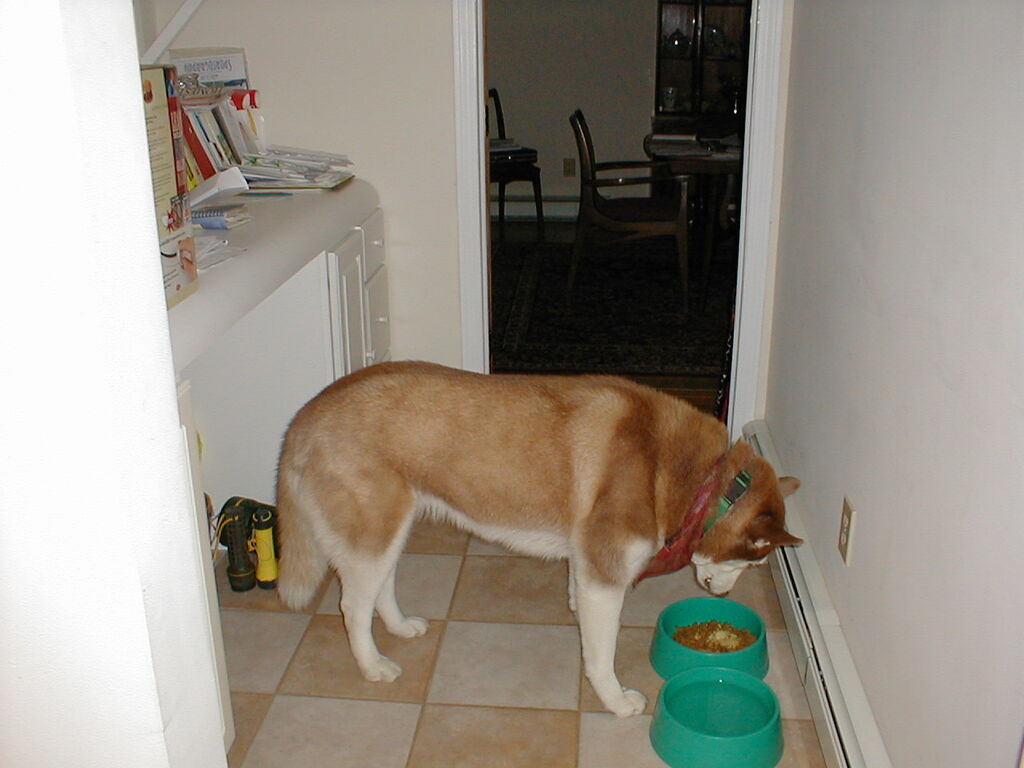 No description provided for: /2001/01-03/0112-after-xmas/photo05.html