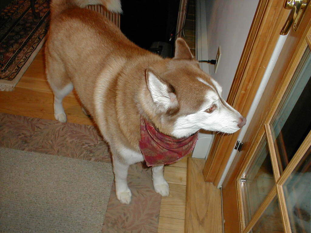 No description provided for: /2001/01-03/0112-after-xmas/photo08.html