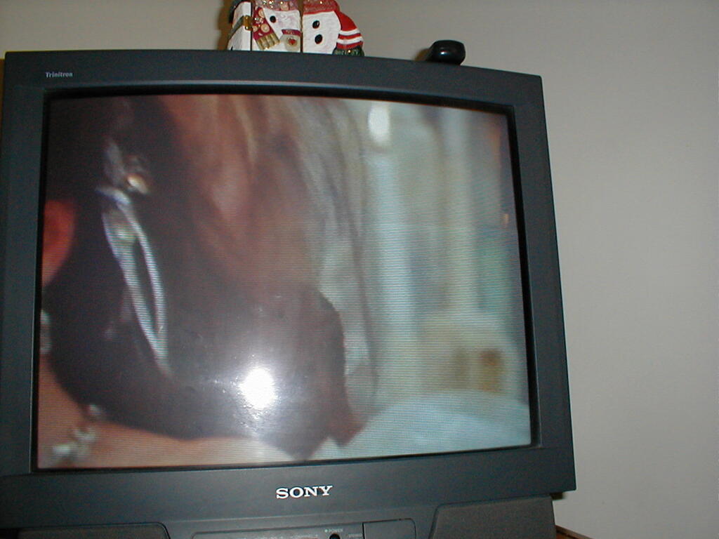 No description provided for: /2001/01-03/0331-erin-bday/_2/photo36.html