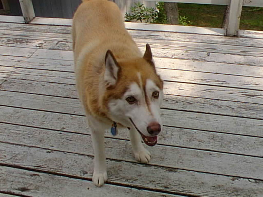 No description provided for: /2001/07-09/0707-sailing/_1/photo12.html