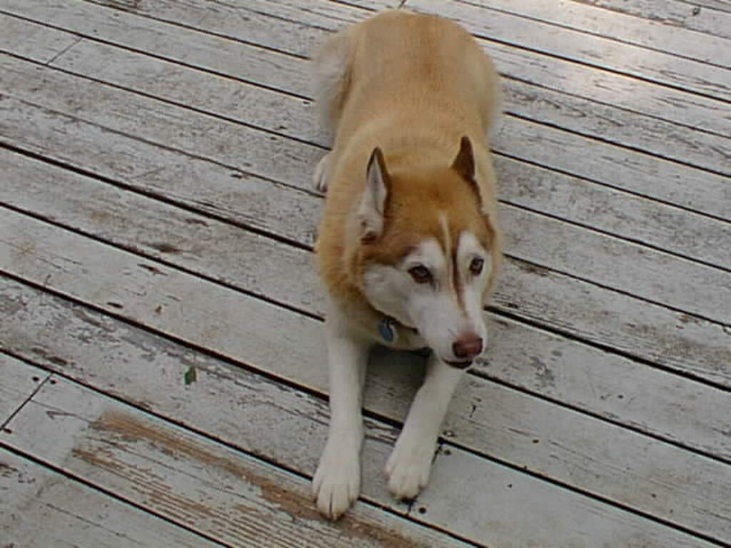 No description provided for: /2001/07-09/0707-sailing/_1/photo13.html