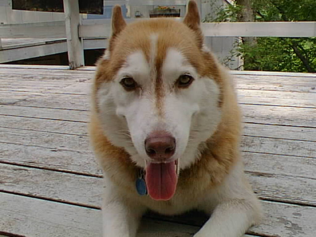 No description provided for: /2001/07-09/0707-sailing/_1/photo14.html