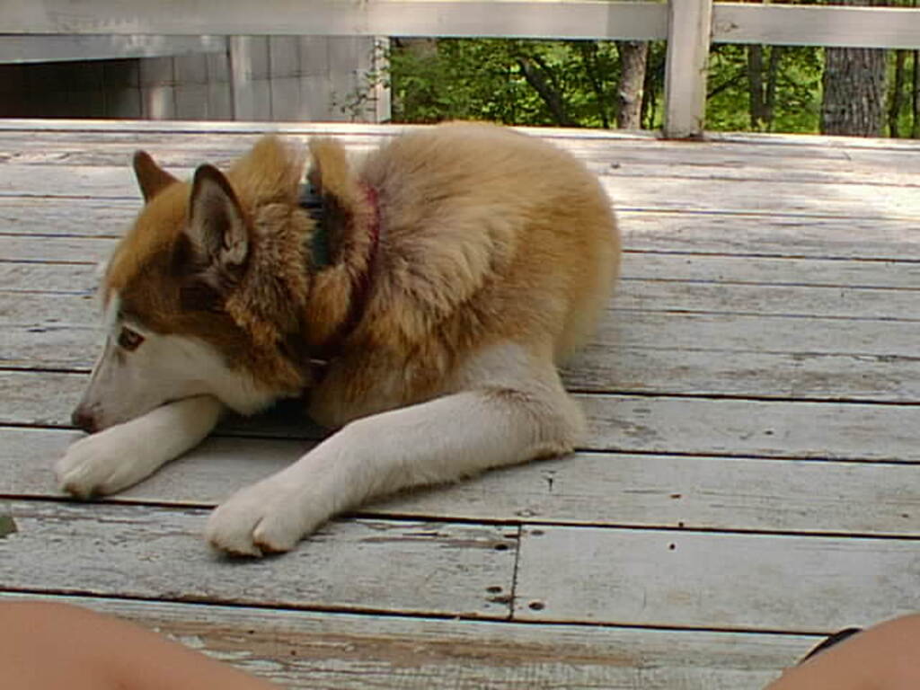 No description provided for: /2001/07-09/0707-sailing/_2/photo16.html