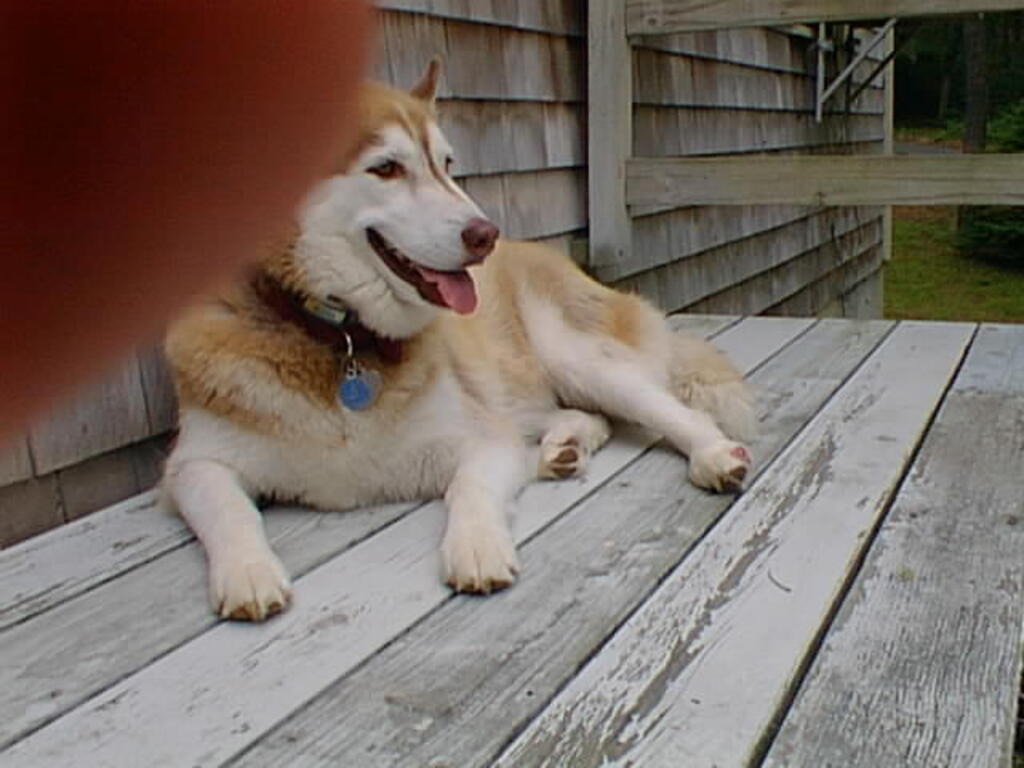 No description provided for: /2001/07-09/0707-sailing/_2/photo19.html