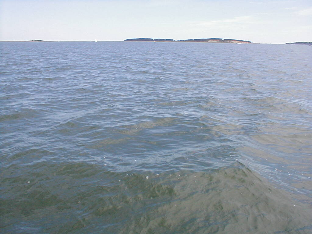 No description provided for: /2001/07-09/0729-sailing/_2/photo36.html