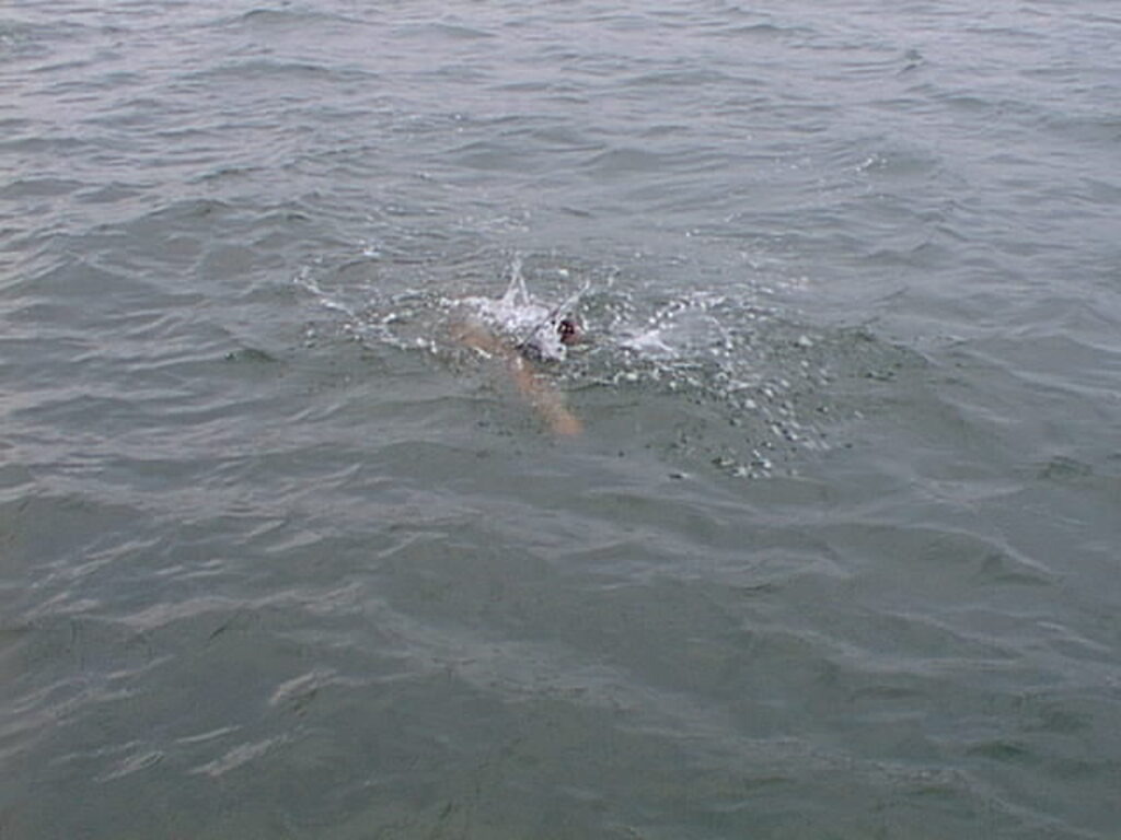 No description provided for: /2001/07-09/0804-sailing/_2/photo17.html