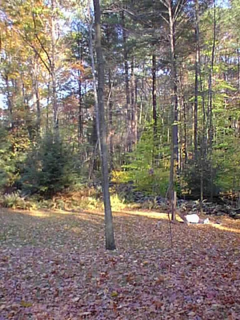 No description provided for: /2001/10-12/1021-baseball-projectile/photo05.html