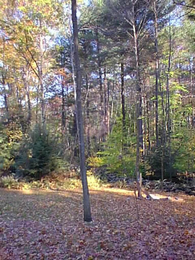 No description provided for: /2001/10-12/1021-baseball-projectile/photo06.html