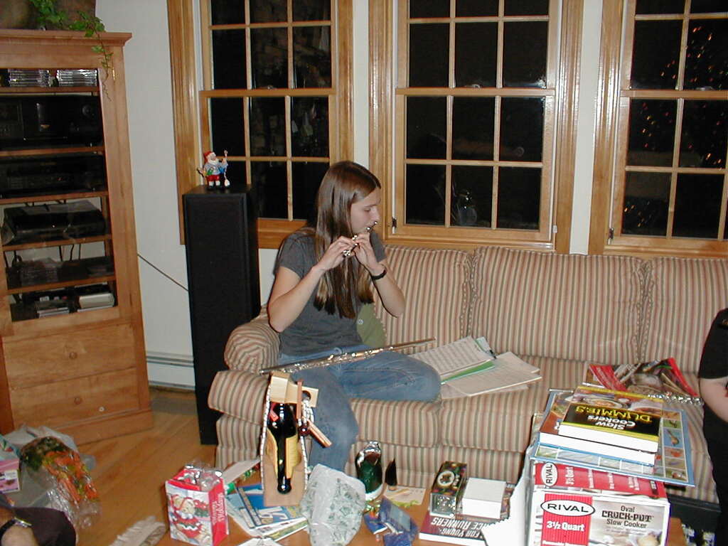 No description provided for: /2001/10-12/1225-christmas/_2/photo19.html