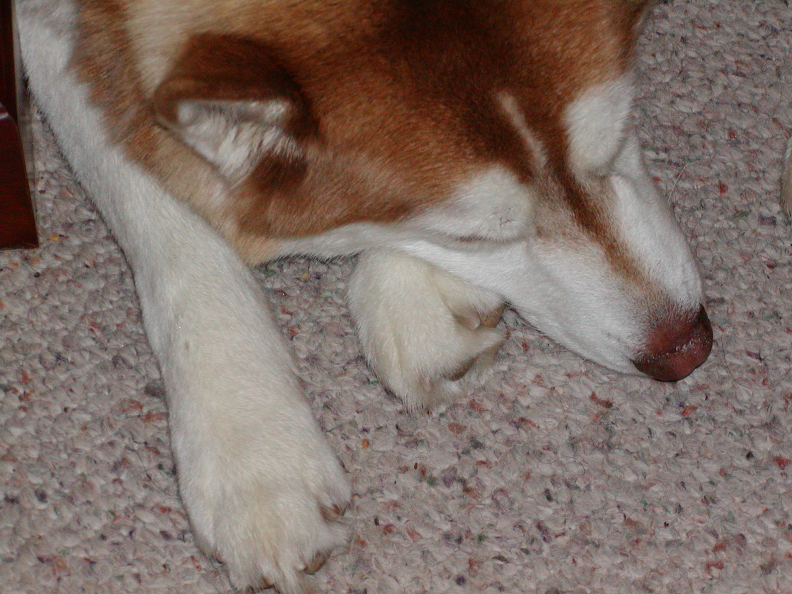 No description provided for: /2002/04-06/0503-bob+jill+joan/snowball-01.html