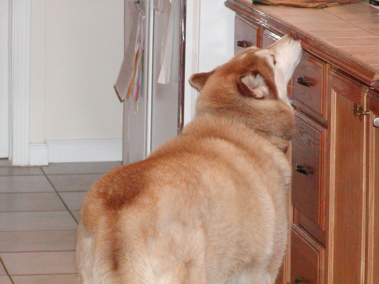 No description provided for: /2002/04-06/0503-bob+jill+joan/snowball-02.html