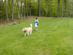 Image file: photo34.jpg