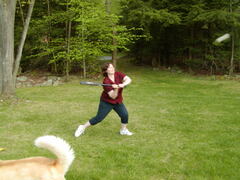 Image file: photo36.jpg