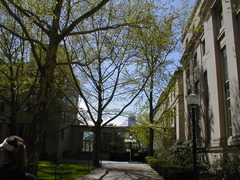 Image file: photo01.jpg