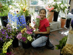 Image file: photo15.jpg