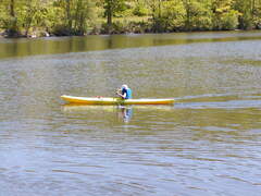 Image file: photo11.jpg