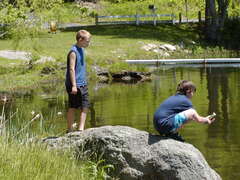 Image file: photo21.jpg